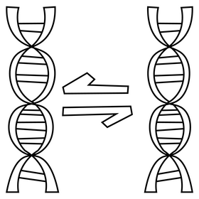 Science dna black and white clipart