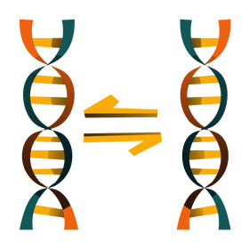 Science dna clipart