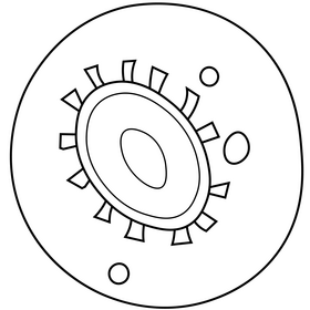 Coronavirus covid 19 virus black and white clipart