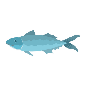 Sardine fish clipart