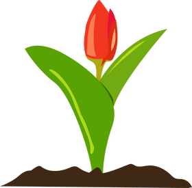 Flower plant clipart