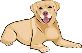 Labrador dog clipart