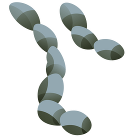 Bacteria worms clipart