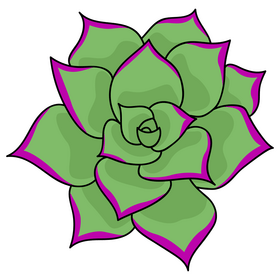 Succulent flower clipart
