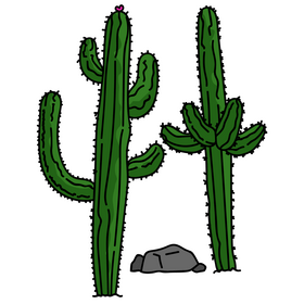 Saguaro cactus clipart