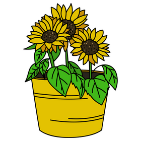 Sunflowers in pot drawing clipart