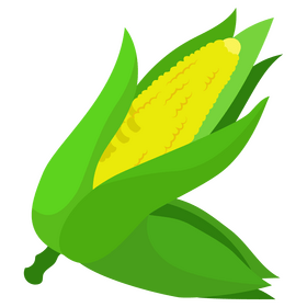 Corn clipart