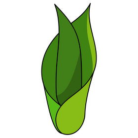 Tulip plant clipart