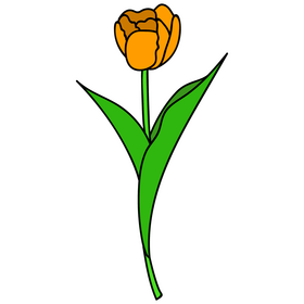 Yellow tulip flower clipart