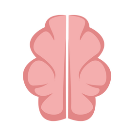 Brain clipart
