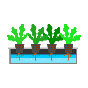 Hydroponics growing tray clipart
