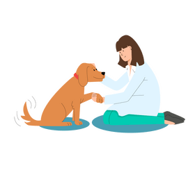 Veterinarian clipart