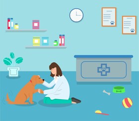 Veterinarian vector