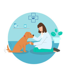 Veterinarian vector