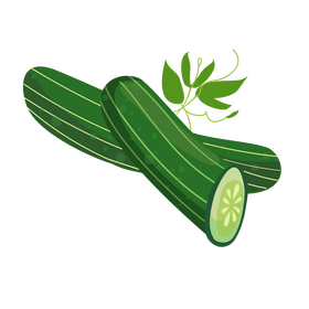 Cucumber clipart