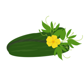Cucumber clipart