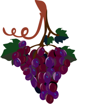 Cartoon grapes clipart