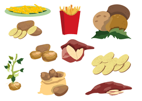 Potatos vector