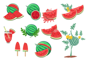 Free watermelons vector