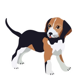 Beagle dog turning head back clipart