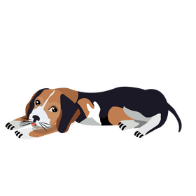 Beagle dog resting clipart