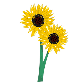 Sunflowers illustration clipart
