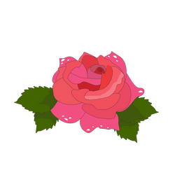 One pink rose drawing clipart