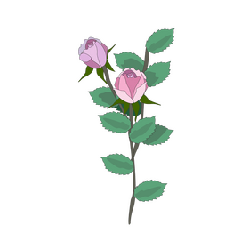 Cartoon rose buds clipart