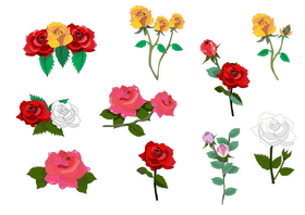 Red roses, pink roses, yellow roses vector