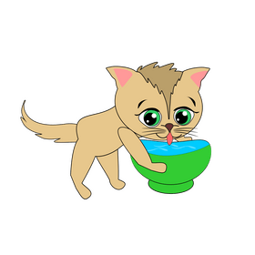 Cat drinking water illustration clipart