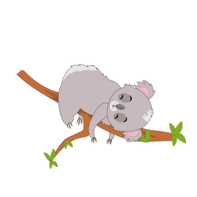 Cartoon koala sleeping on a tree clipart