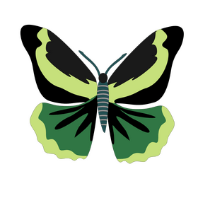 Black and green butterfly illustration clipart