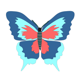 Cartoon butterfly clipart