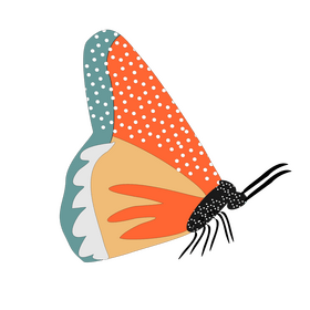 Butterfly cartoon clipart