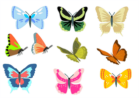 Free butterflies vector