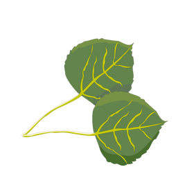 Free aspen leaves clipart