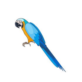 Blue parrot clipart