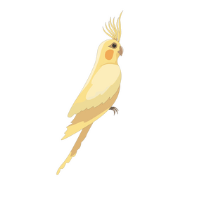 Yellow parrot clipart