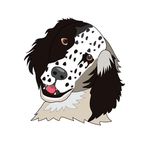 English setter dog drawing clipart