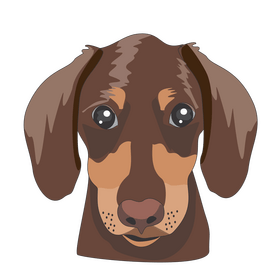 Dachshund dog illustration clipart