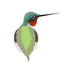 Hummingbird clipart