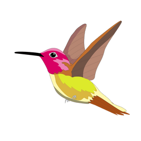 Free hummingbird flying clipart