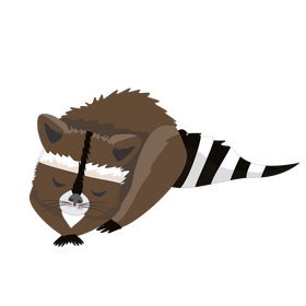 Raccoon sleeping cartoon drawing clipart