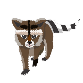 Raccoon walking illustration clipart