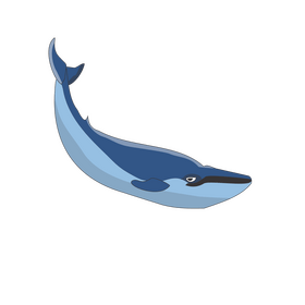 Blue whale clipart