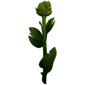 Artichoke plant clipart