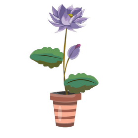 Lotus flower drawing clipart