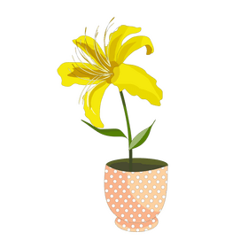 Lily illustration in a pot clipart