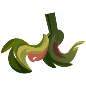 Artichoke segments clipart