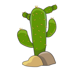 Cactus with stones illustration clipart